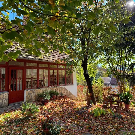 Casa Szatina Dağ evi Kishajmas