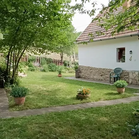 Dağ evi Casa Szatina *