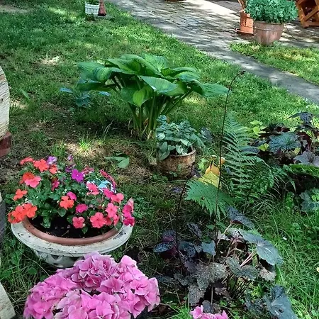 Casa Szatina Dağ evi *