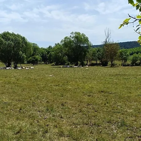 Casa Szatina Dağ evi *